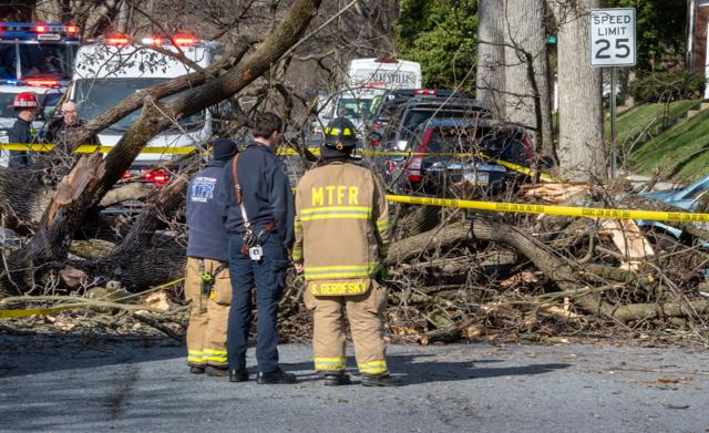 imagen_2024-01-14_214439781