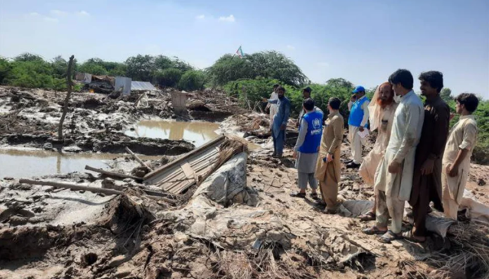 imagen_2024-06-15_113013328